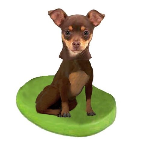 custom dog bobblehead